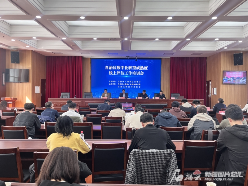 新疆数字化转型成熟度评估启动