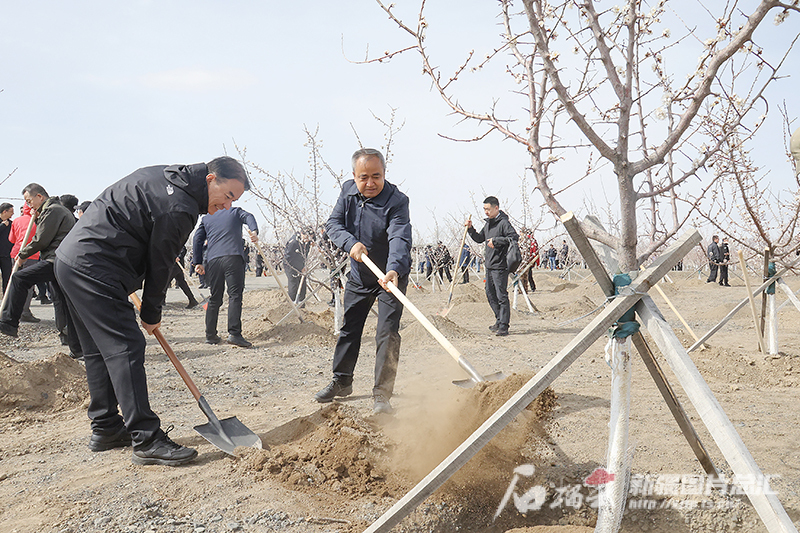 自治区领导集体开展义务植树活动